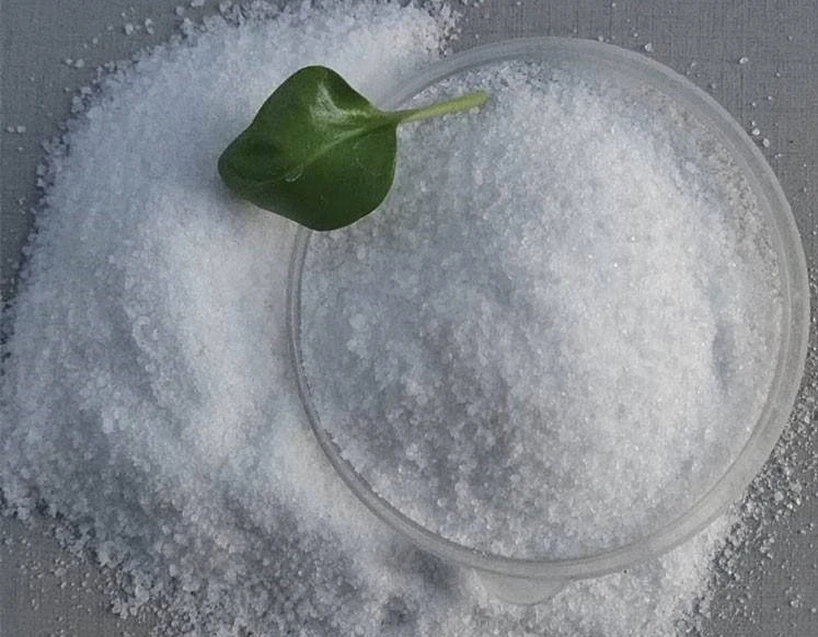 APAM Anion Polyacrylamid APAM Anion Polyacrylamid