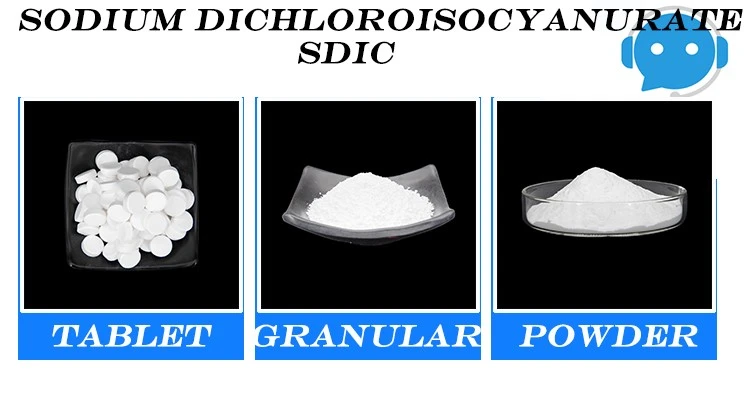 Low Price Sodium Dichloroisocyanurate SDIC 56% 60% Low Price Sodium Dichloroisocyanurate SDIC 56% 60%